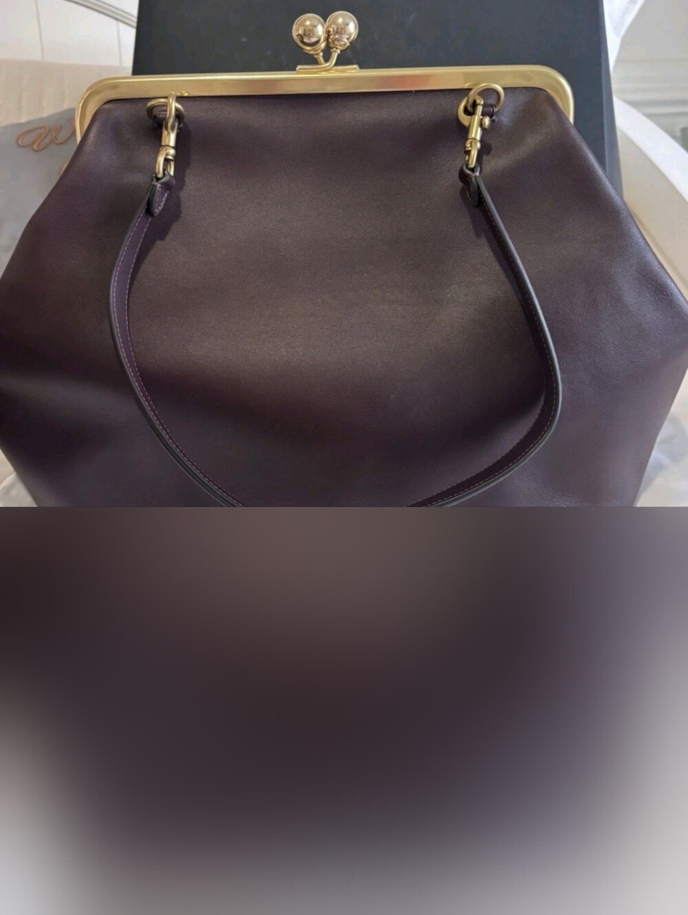 COACH Large Frame Kisslock In Black Currant